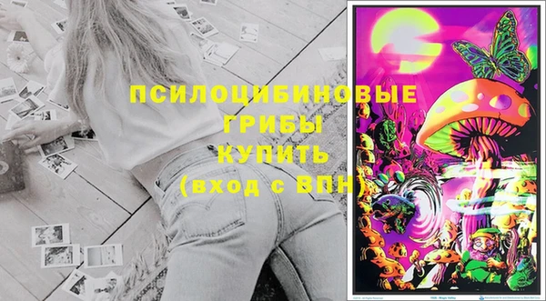 героин Алексин