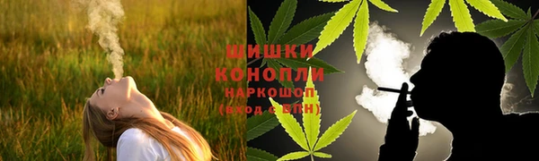 гидропоника Алзамай