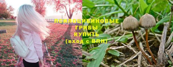 героин Алексин