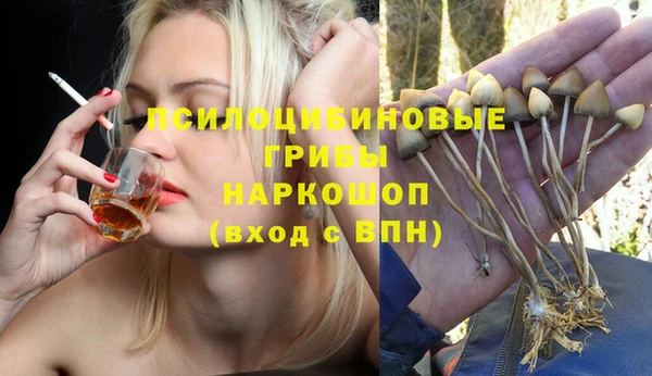 эйфоретик Алексеевка