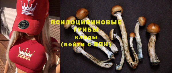 эйфоретик Алексеевка