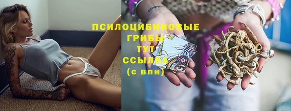 героин Алексин